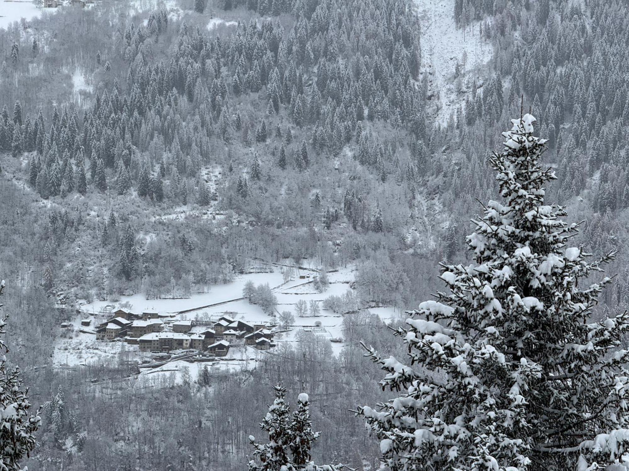 Panorama Marilleva 1400 - Val Di Sole Apartman Kültér fotó