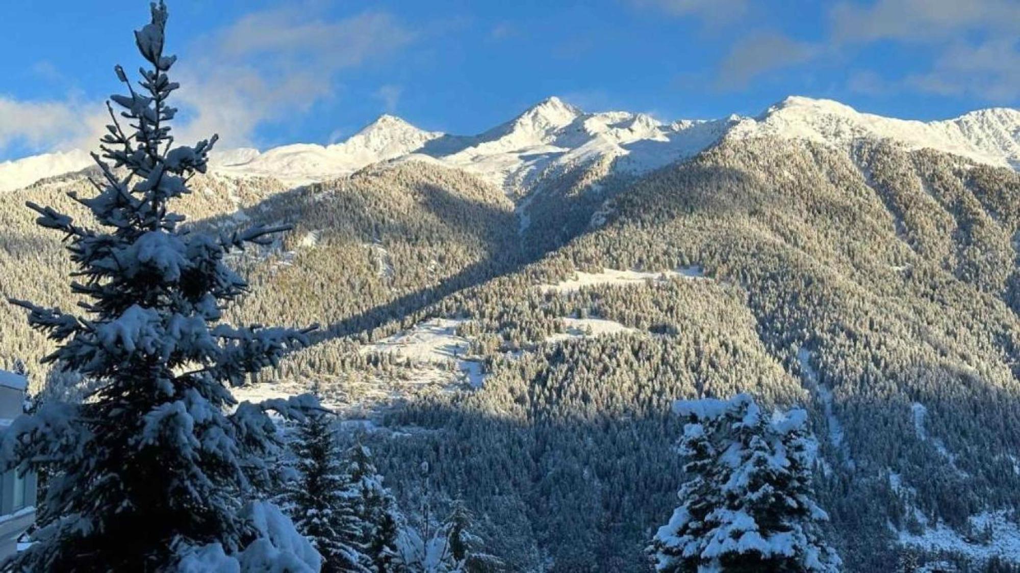 Panorama Marilleva 1400 - Val Di Sole Apartman Kültér fotó